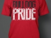 OHHS pride spirit shirt